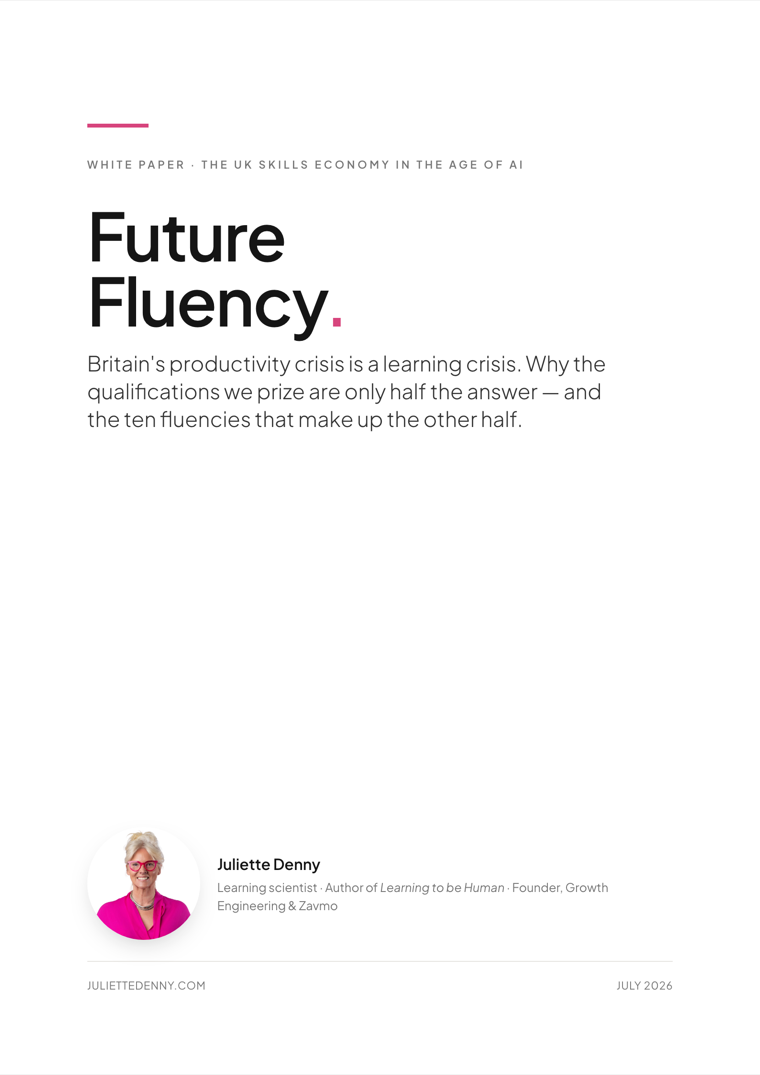 Future Fluency, white paper cover